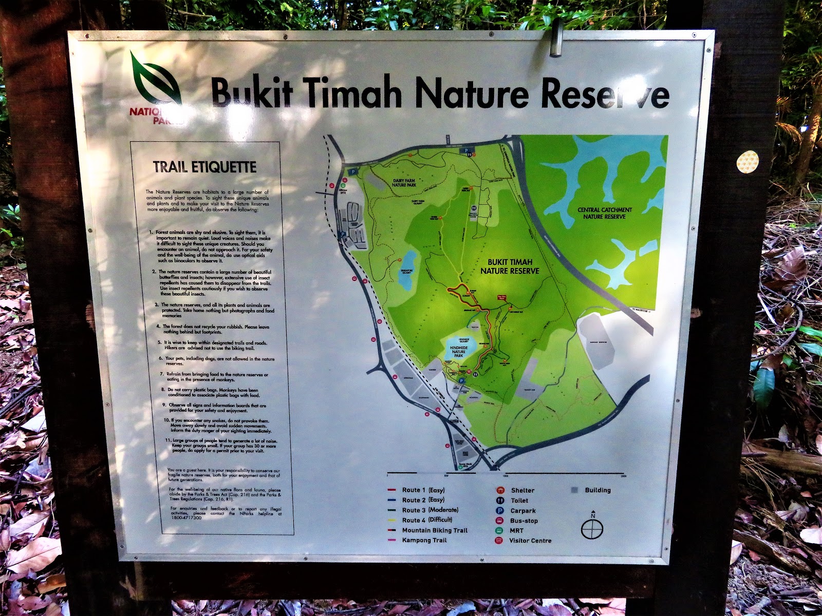 Bukit Timah Loop – Hiking the Green Isle