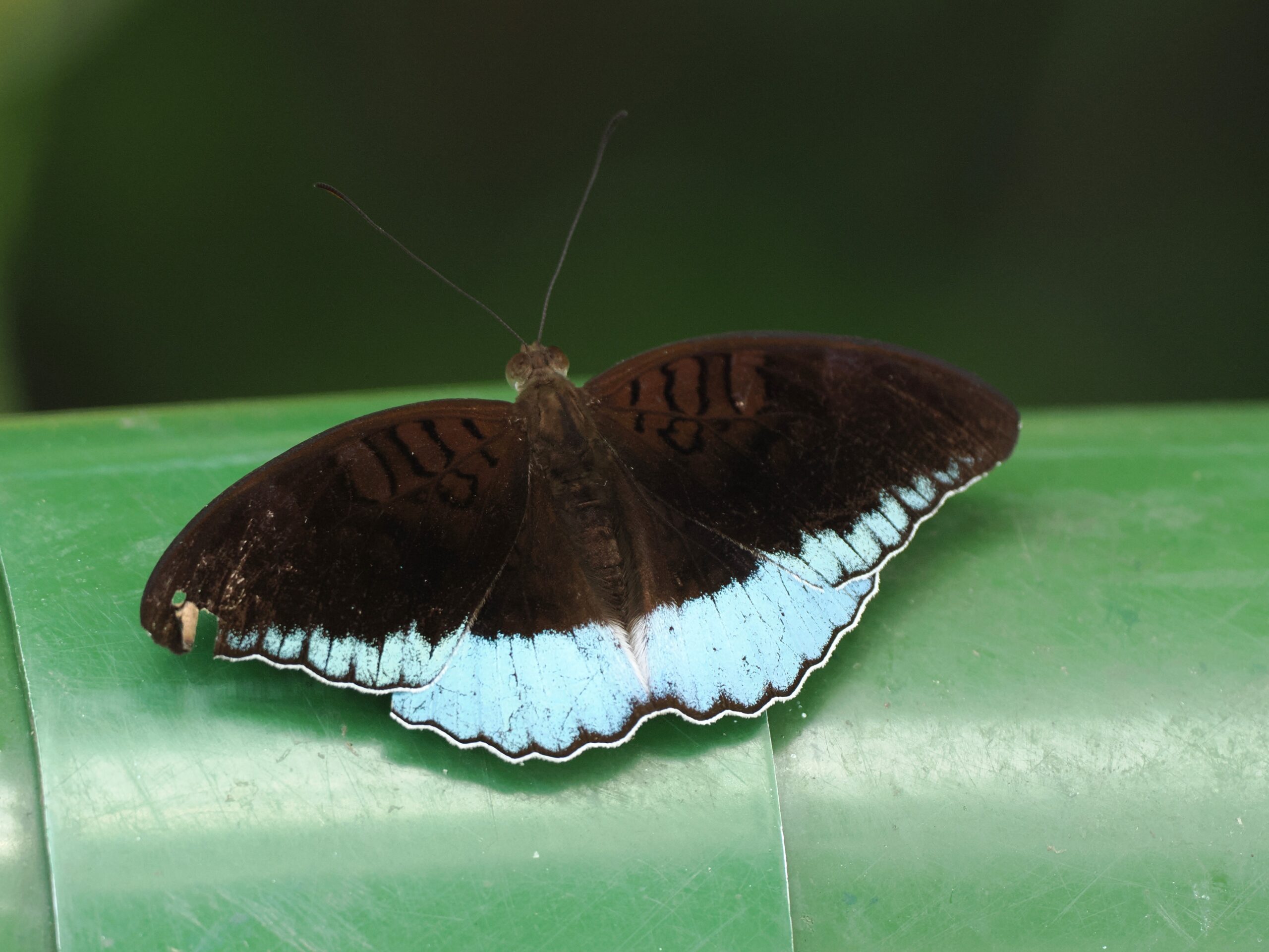 P1240847