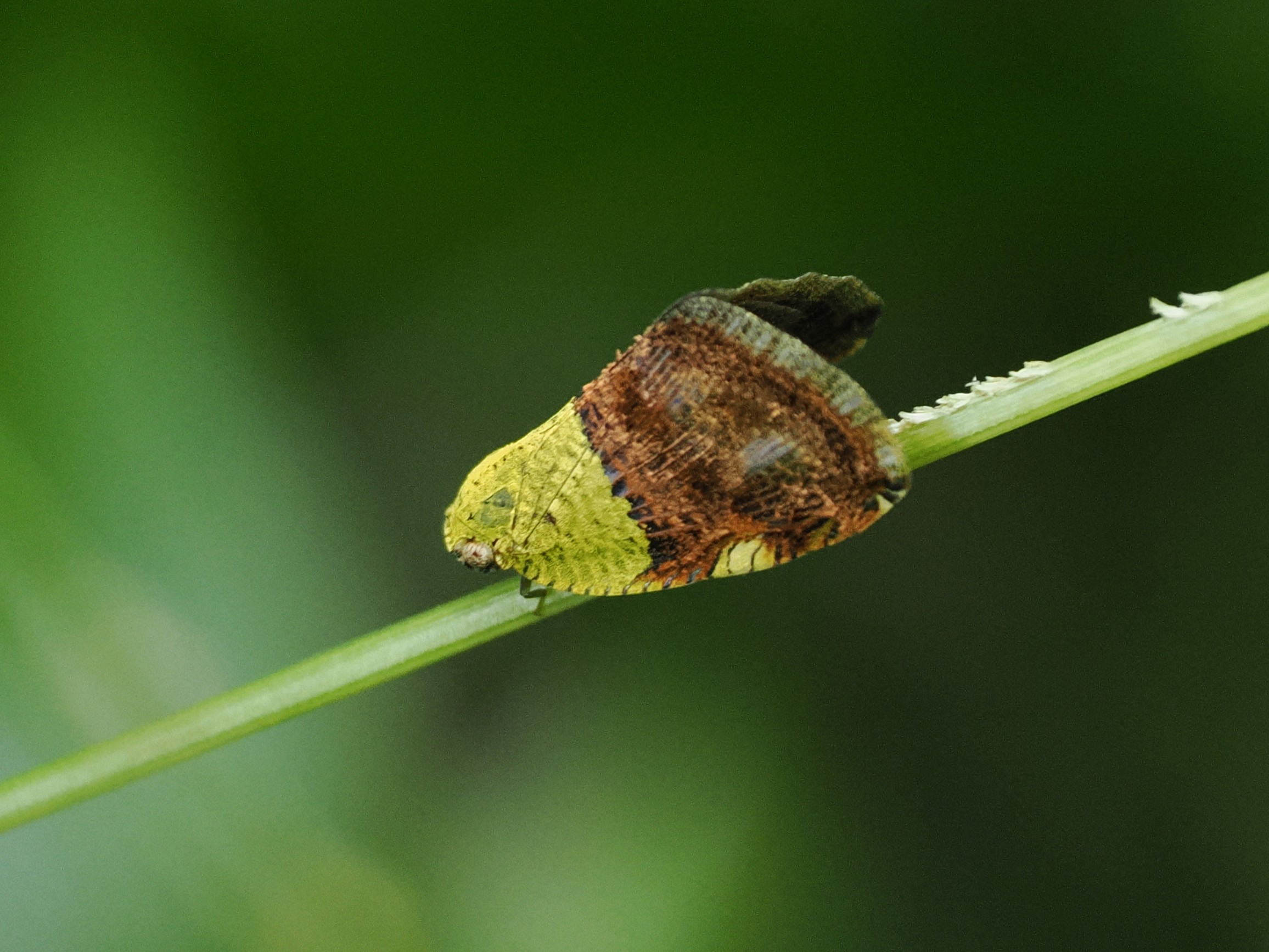 P1240878