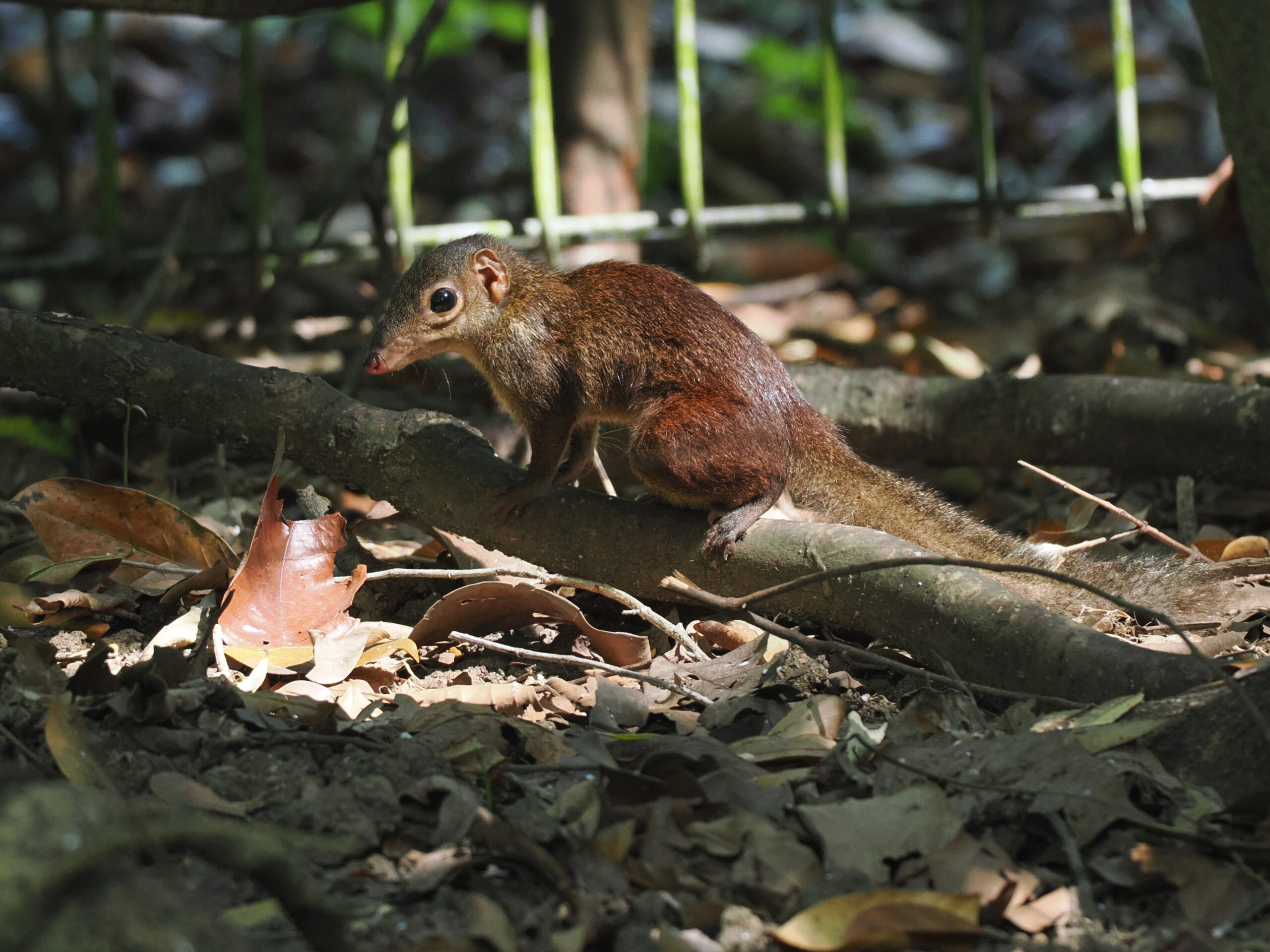 P3220343