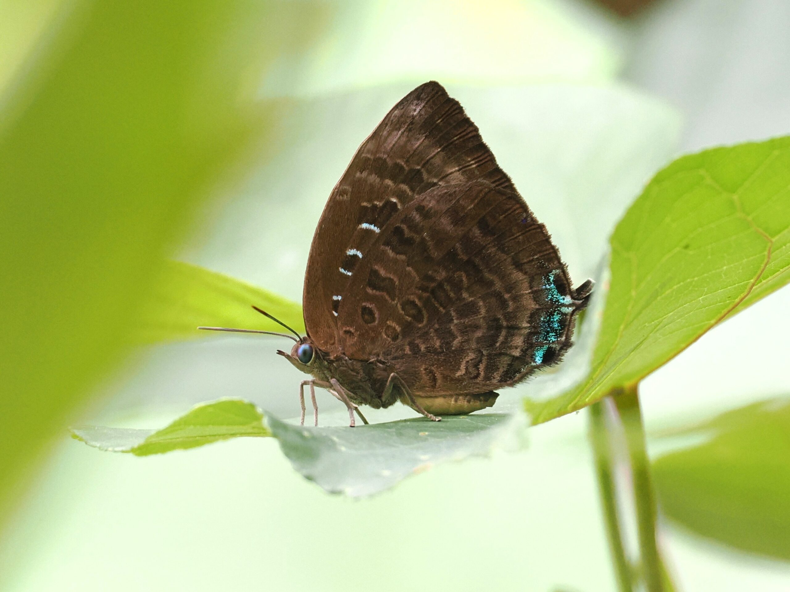 P4150235