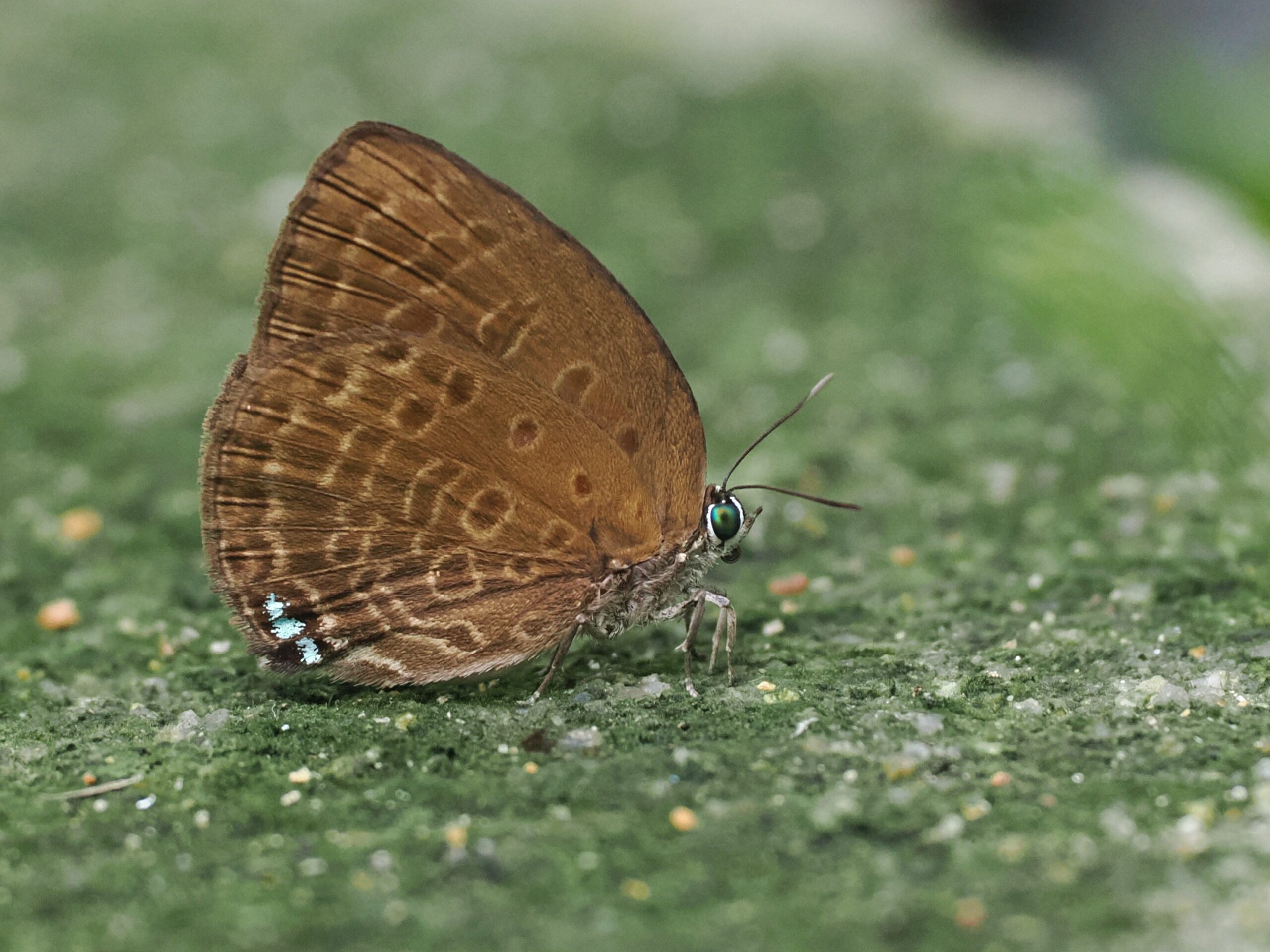 P4170693