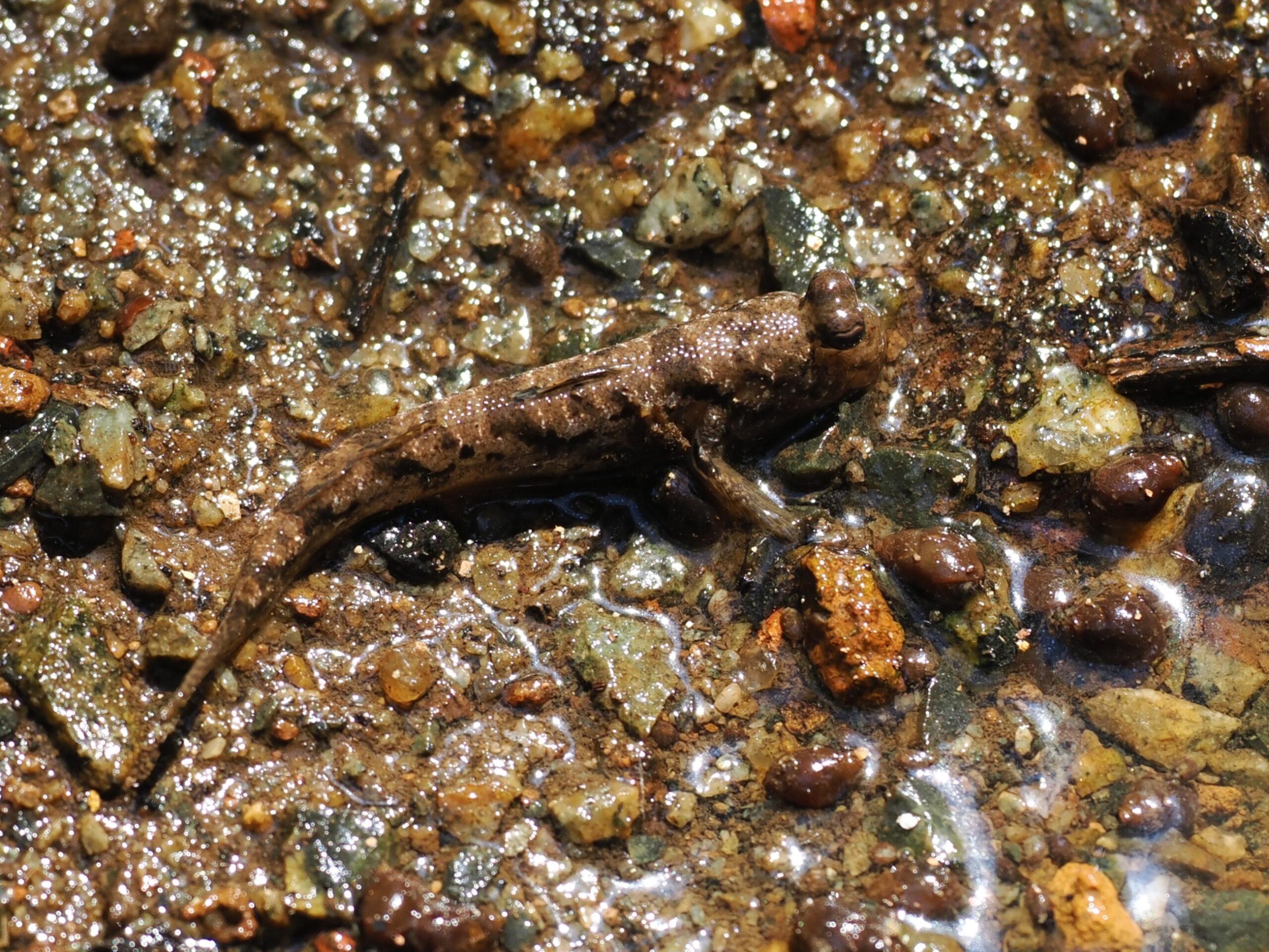 P5030193