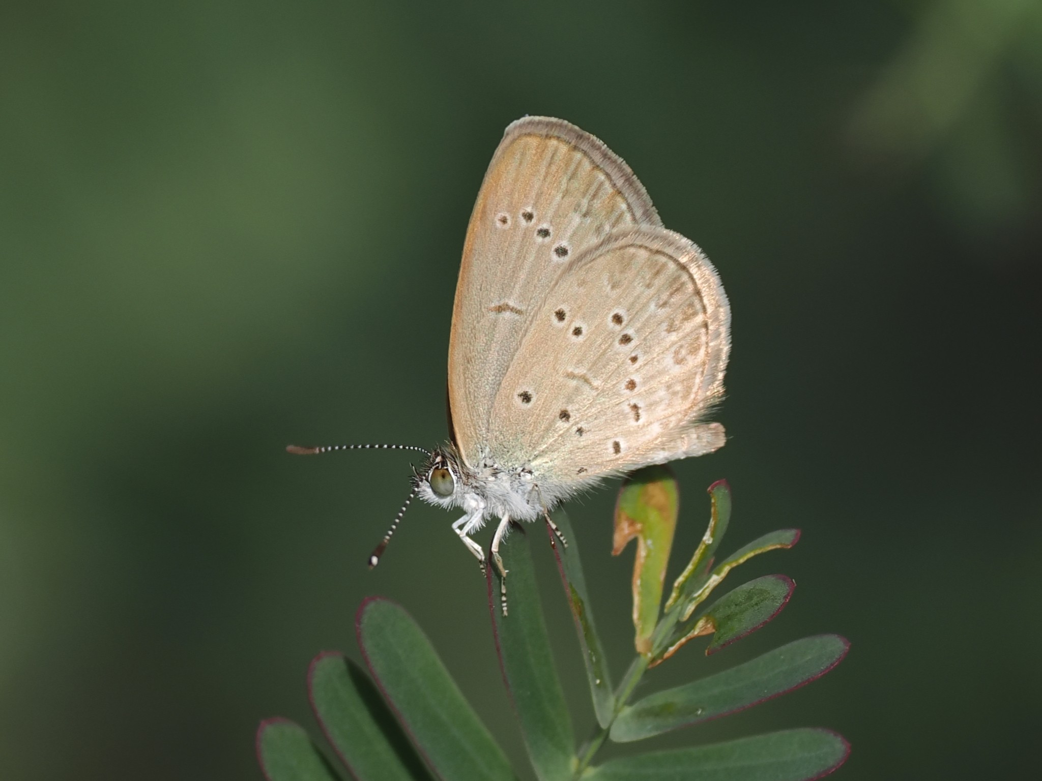 P6240385