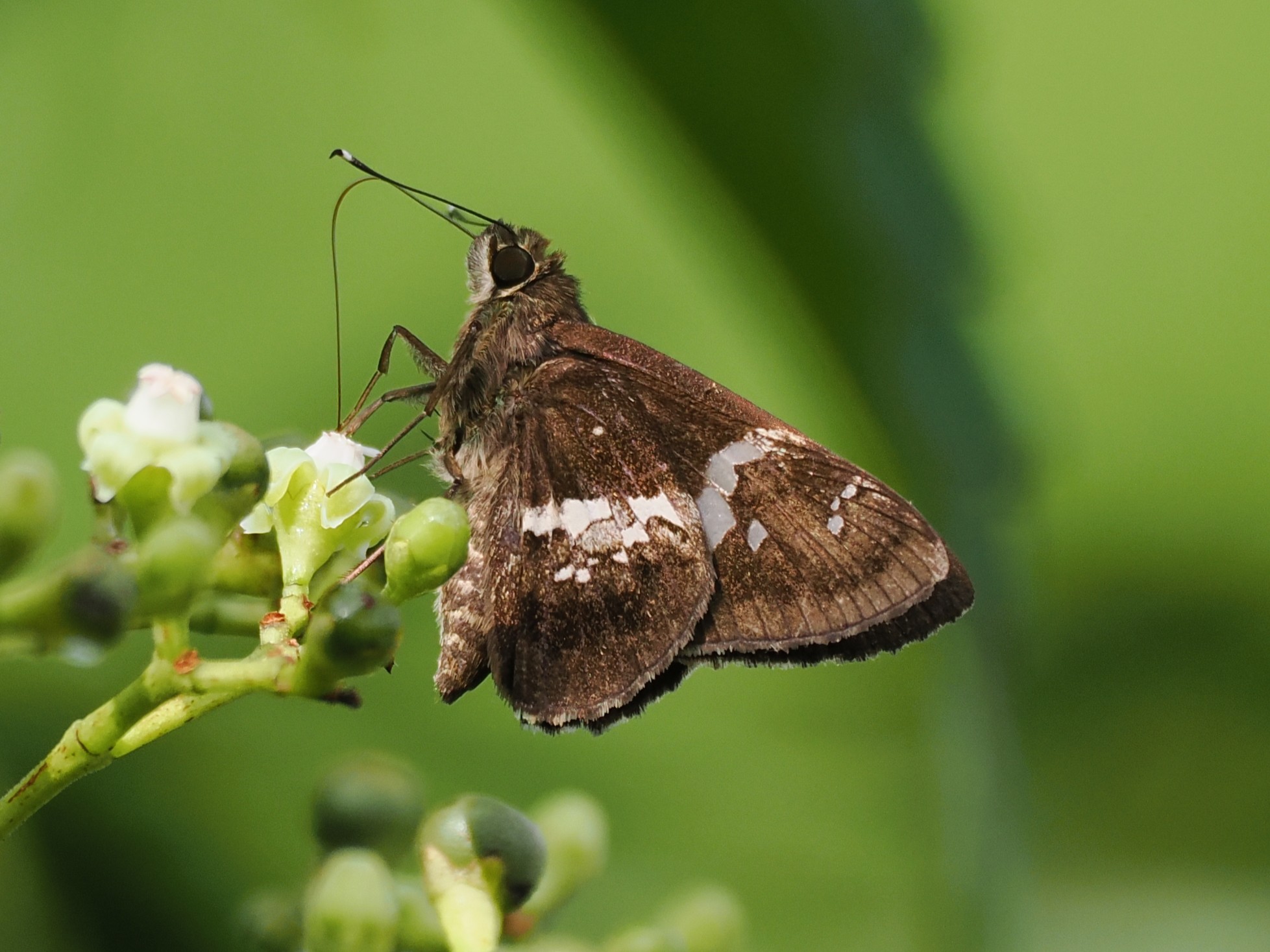 P7010328