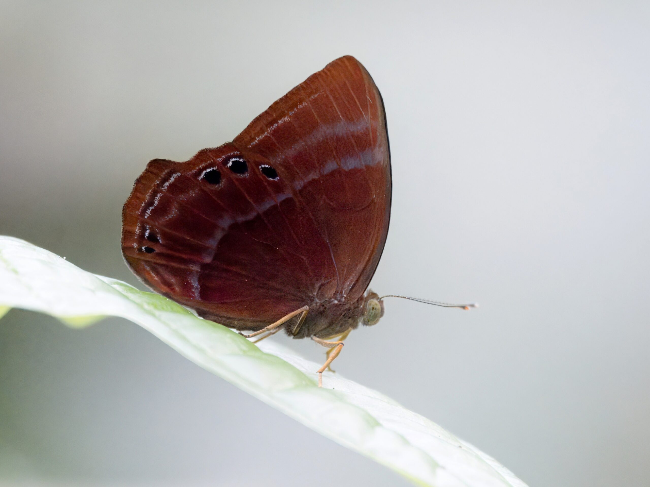P7030028