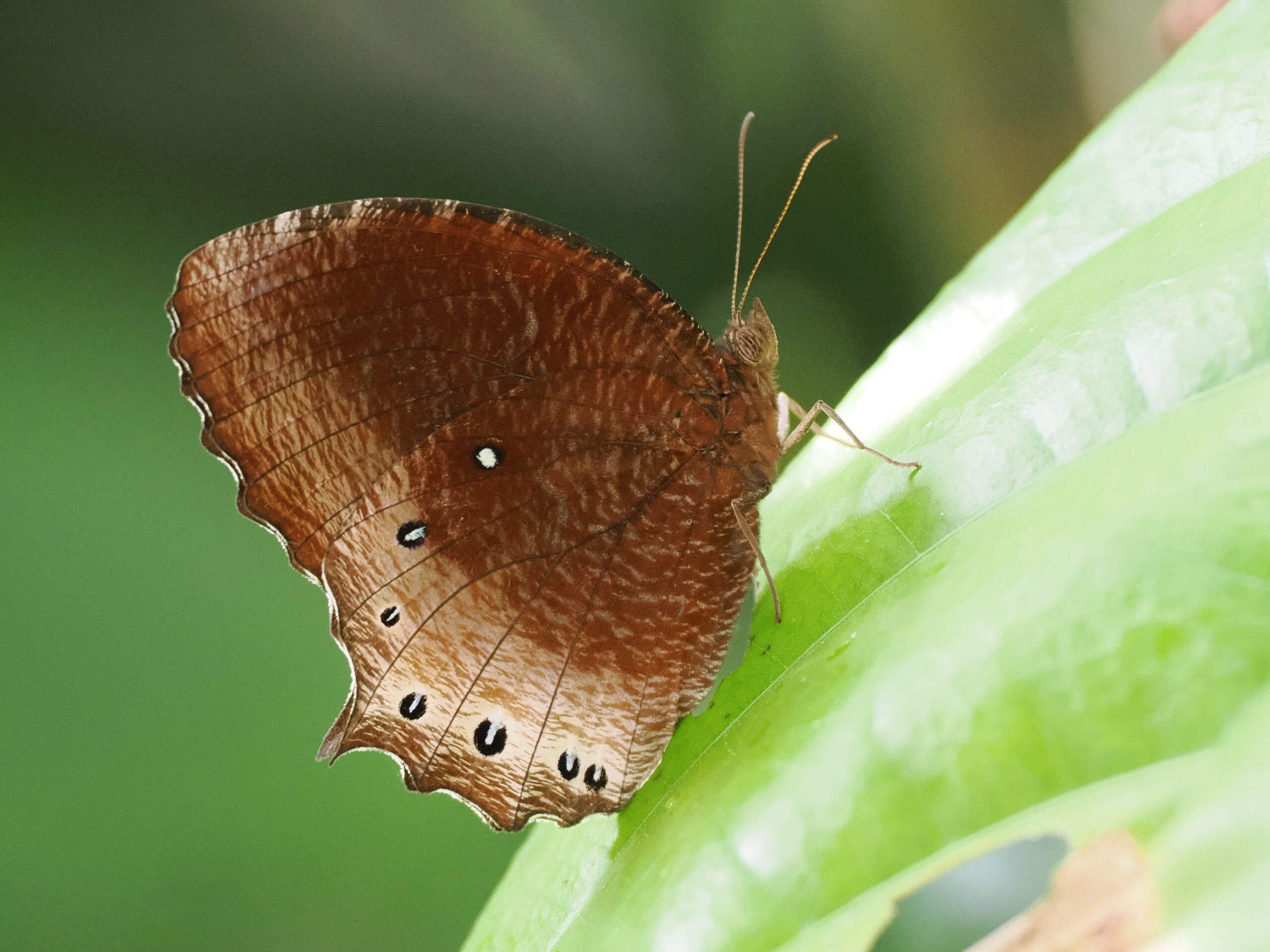 P7100738
