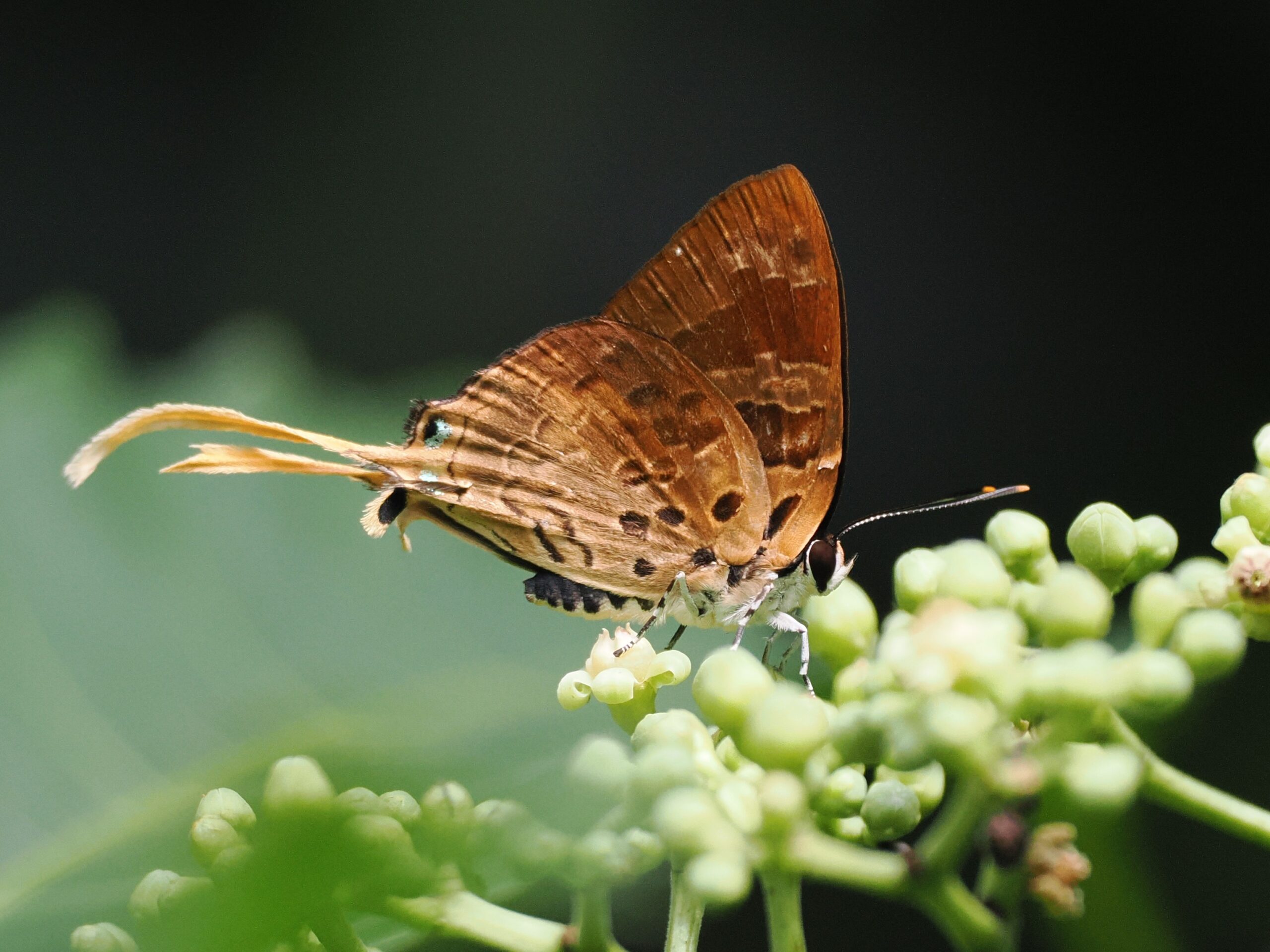 P7170133