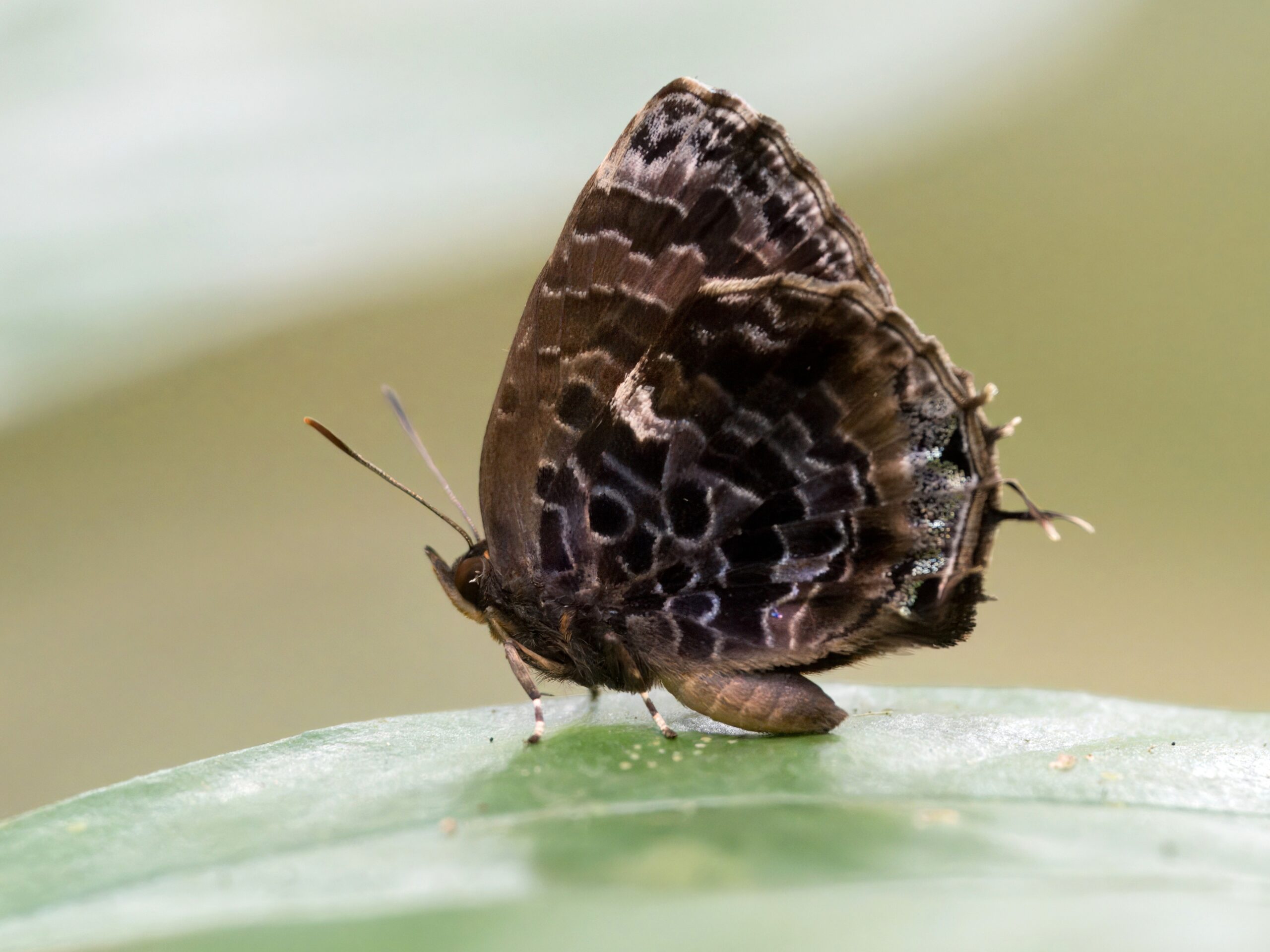 P8020377