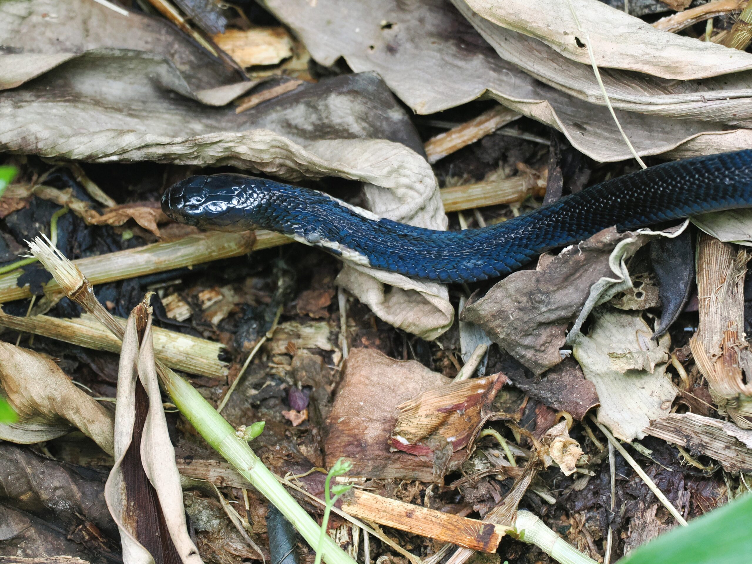 P9240489